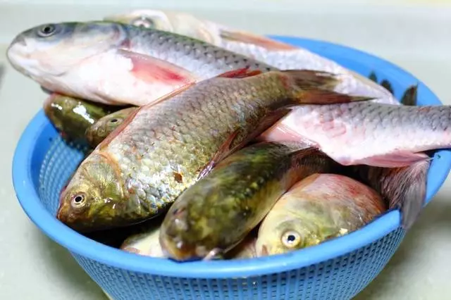 鯽魚還在燉湯嗎?試試這個做法,外焦里嫩,香酥可口,完全無腥味!