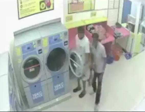 懷孕母貓遭2冷血變態男子放烘乾機 活活烘死