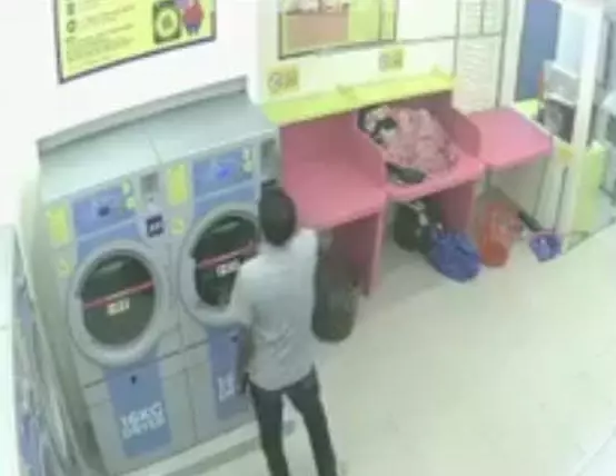 懷孕母貓遭2冷血變態男子放烘乾機 活活烘死