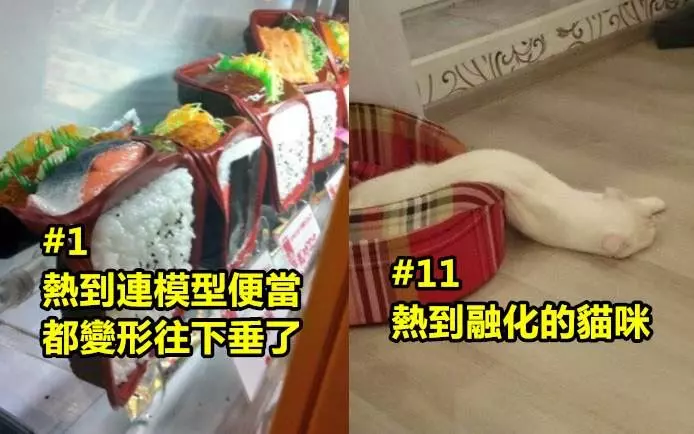 「大熱天時不能看到的15張照片」看了你會覺得溫度又上升了幾度