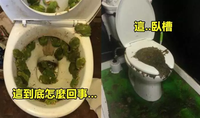 18張會讓你「絕對不敢用的超惡馬桶」!#15 真的太糟糕了...