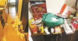 機艙內被男友下跪求婚 空姐下機後遭公司辭退 | 東方網 | 馬來西亞東方日報