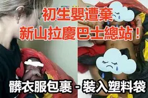 2轎車相撞-釀1死4重傷慘劇