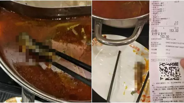 孕婦吃火鍋發現死老鼠 店員回答惹眾怒 《內附視頻》