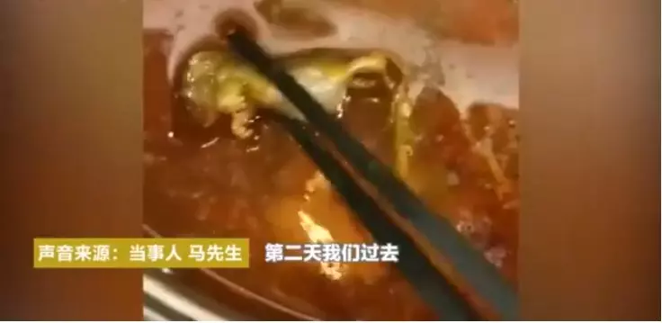 孕婦吃火鍋發現死老鼠 店員回答惹眾怒 《內附視頻》