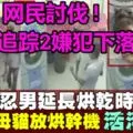人民不要旺旺來!最好不要來!醫院掛旺梨遭非議!