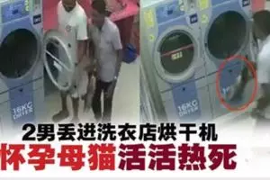 人民不要旺旺來!最好不要來!醫院掛旺梨遭非議!