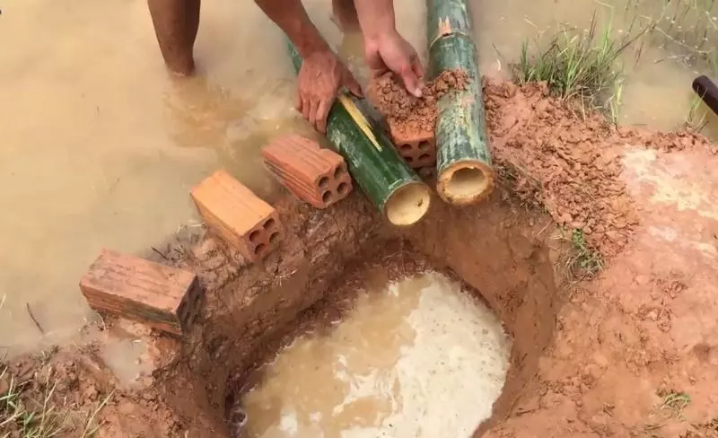 漁夫僅用「5根竹筒」就補到滿出來的漁獲
