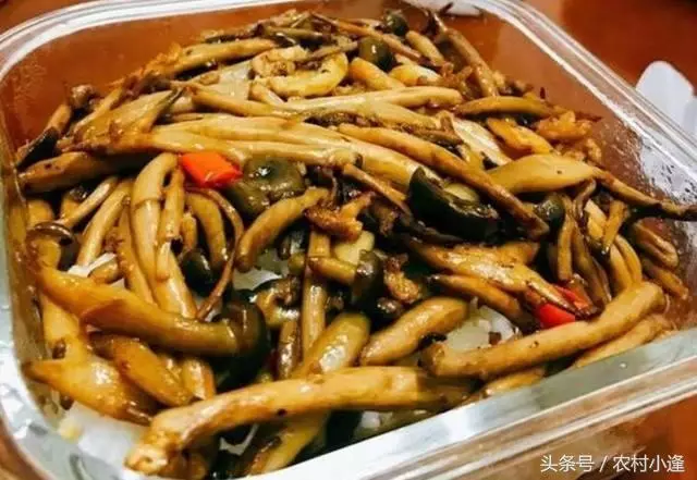 28道養生家常菜,絕對的好吃,天天吃都不膩,不重樣健康有營養!