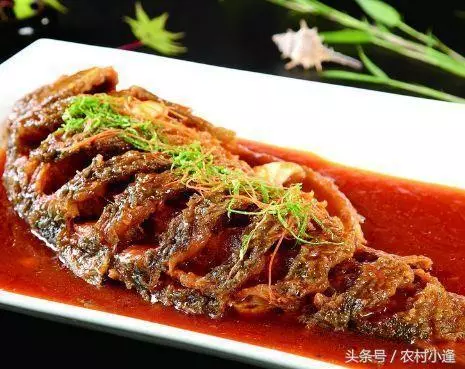 28道養生家常菜,絕對的好吃,天天吃都不膩,不重樣健康有營養!