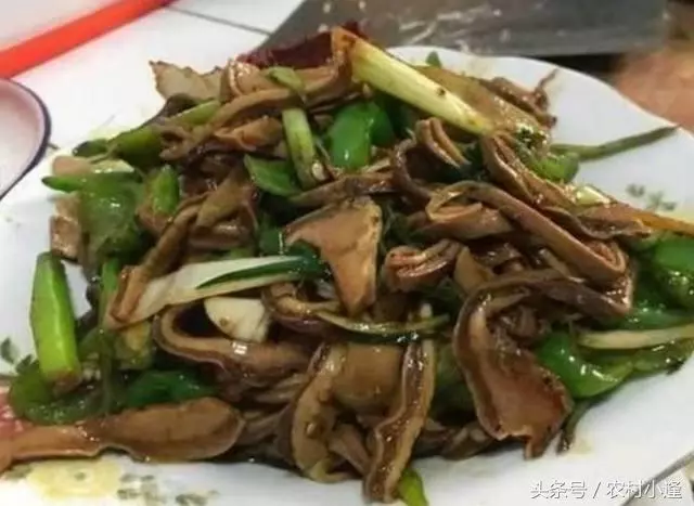 28道養生家常菜,絕對的好吃,天天吃都不膩,不重樣健康有營養!