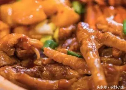 28道養生家常菜,絕對的好吃,天天吃都不膩,不重樣健康有營養!