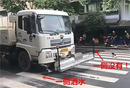 流浪狗躺在馬路中間,洒水車經過卻悄悄關了水閥,汪:謝謝你