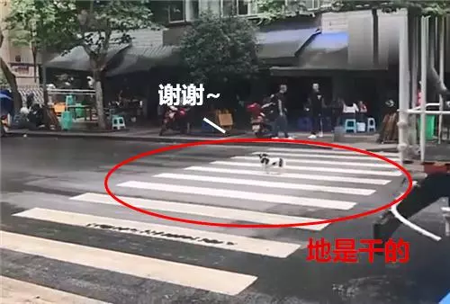 流浪狗躺在馬路中間,洒水車經過卻悄悄關了水閥,汪:謝謝你