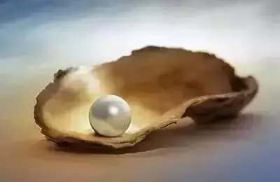 看了此文,我不再責怪任何人任何事了