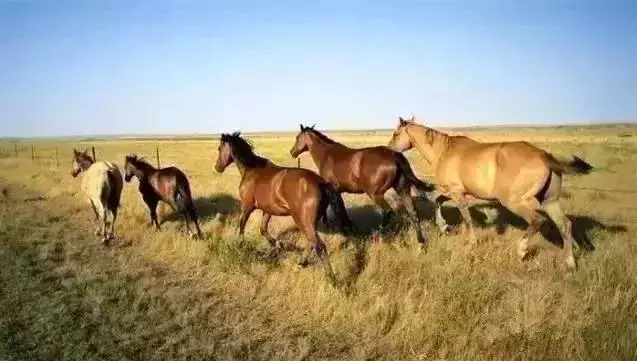 看了此文,我不再責怪任何人任何事了