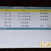 青埔之翼!中壢公15公園將打造風箏造型天幕