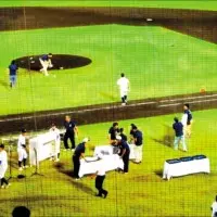 青埔之翼!中壢公15公園將打造風箏造型天幕