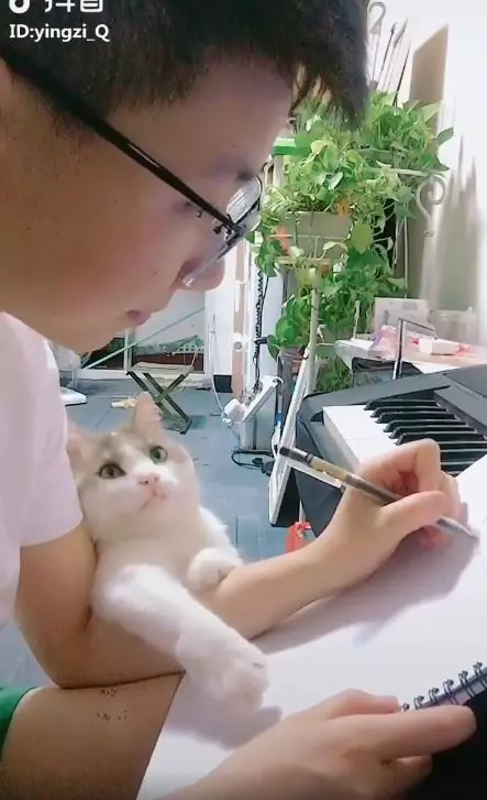 看人家一下嘛~奴才太忙「黏人喵巴手臂不放」!狂蹭頭好委屈:朕竟然輸了...