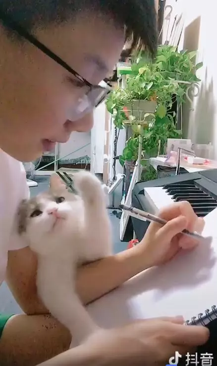 看人家一下嘛~奴才太忙「黏人喵巴手臂不放」!狂蹭頭好委屈:朕竟然輸了...