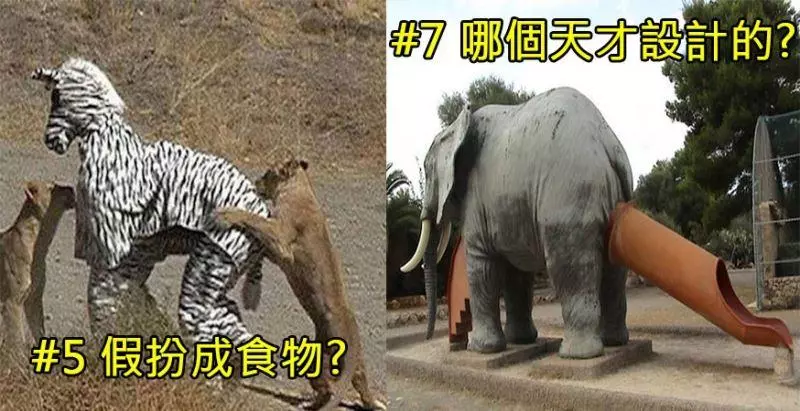 天才還是腦殘?這10個「自以為聰明」的行徑最後都害自己倒大楣!#8 這種健身方式是想搞到全身骨折?!