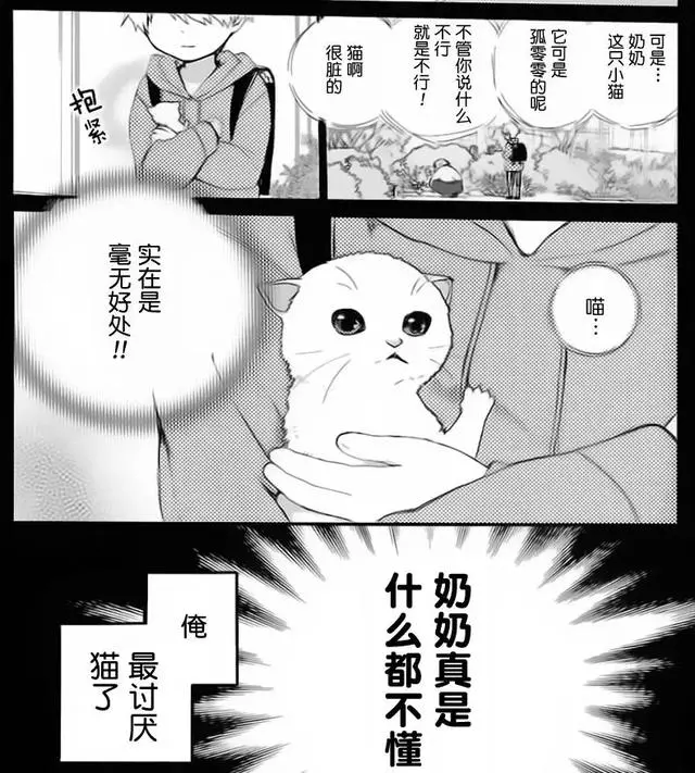 88歲老奶奶轉生成5歲小女孩,這應該是近期最另類的轉生漫畫了