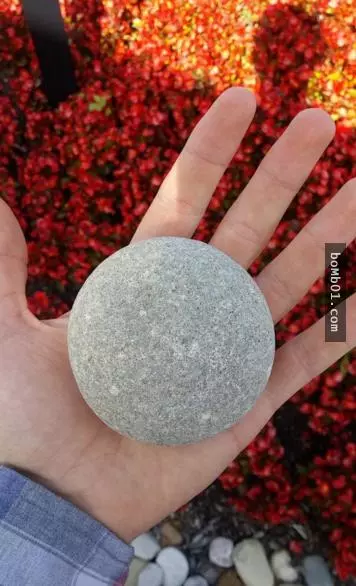 23張完美無瑕到讓人會忍不住很想喊出來的超契合照片!
