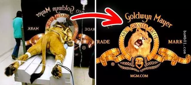 13個連員工都不知道的「世界知名Logo」背後趣味小故事,蘋果的標志由來竟然跟我們想像的不一樣!