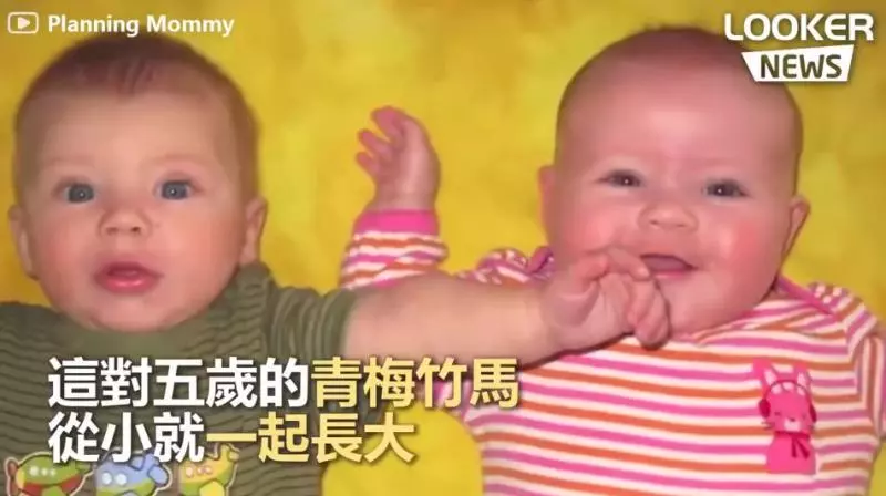 17個月沒見面!5歲青梅竹馬分離兩地 這天媽媽帶他們到機場「兩人一見到彼此」畫面超甜❤️