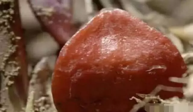 世界上最甜的水果,是甘蔗的3000倍,咬一口甜掉牙,你敢吃嗎