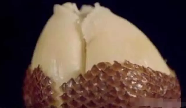 世界上最甜的水果,是甘蔗的3000倍,咬一口甜掉牙,你敢吃嗎