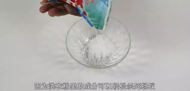 防治螞蟻很容易,三步驟材料每個家都有!