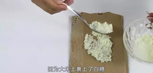 防治螞蟻很容易,三步驟材料每個家都有!