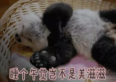 午睡是門「技術活」,科學家實驗揭秘最佳午休時長