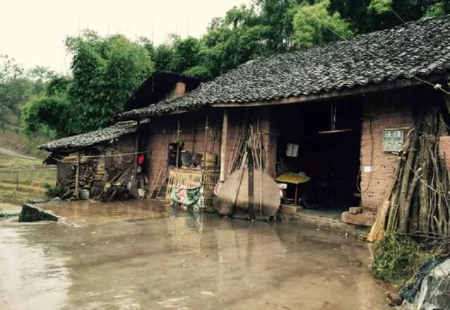 父母離婚後,兒子不同意母親再嫁,無意看到一張照片,他愣住了