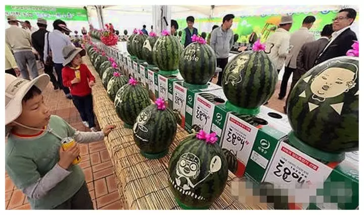 韓國小哥鏡頭前炫富:抱著半邊西瓜挖著吃,中國網友:我的日常