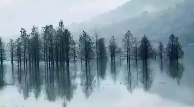 真正內心強大的人,一定有一顆平靜的內心