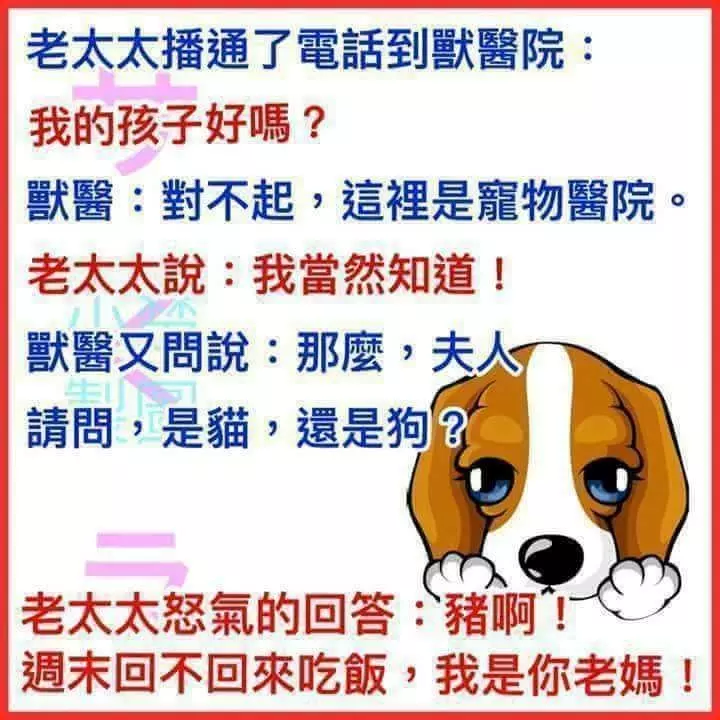 讓人噴飯的10個超級笑話,不得不看!!!