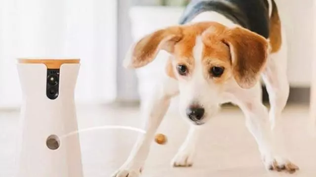 你大概想不到,狗狗害怕的事情是什麼?