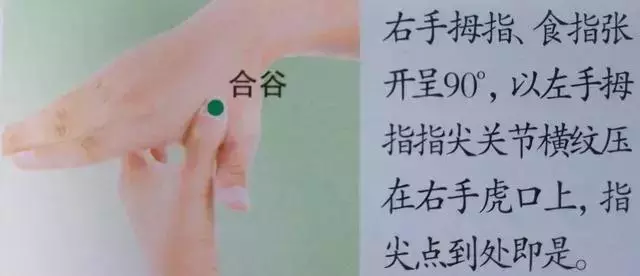 人體36絕穴,個個都實用,收藏,以備不時只需!