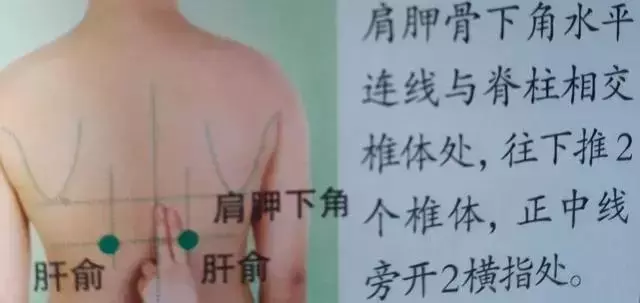 人體36絕穴,個個都實用,收藏,以備不時只需!