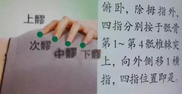 人體36絕穴,個個都實用,收藏,以備不時只需!