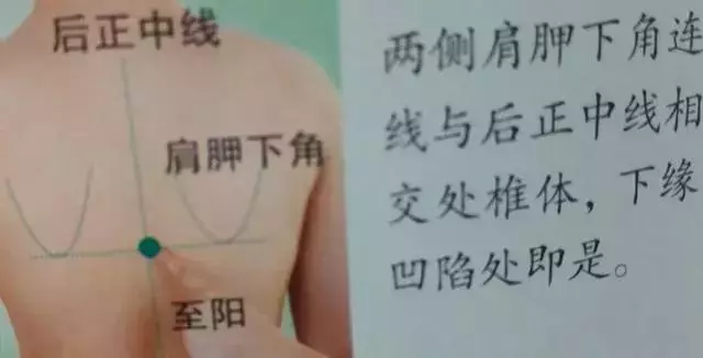 人體36絕穴,個個都實用,收藏,以備不時只需!