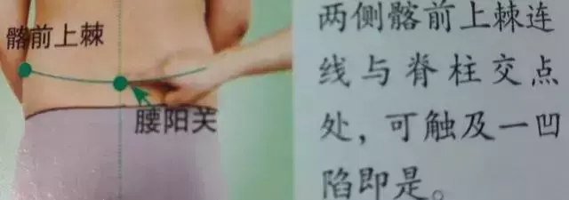 人體36絕穴,個個都實用,收藏,以備不時只需!