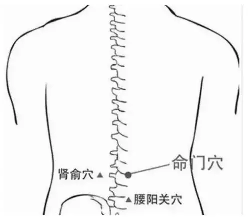 「一拍三揉」輕鬆趕走常見病,95歲老中醫強烈推薦!