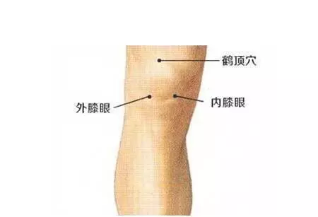 「一拍三揉」輕鬆趕走常見病,95歲老中醫強烈推薦!