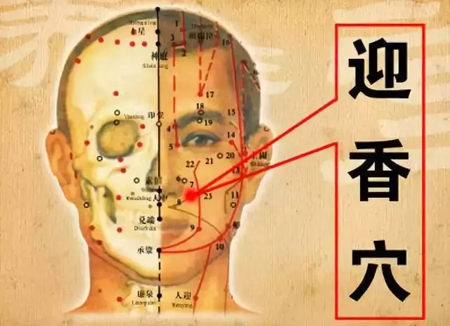 中醫長壽秘訣:抓住晨起五分鐘,通七竅、養五臟、祛疾病!