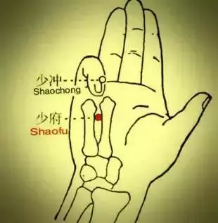 身體上的這些排毒開關,時不時的按一按!