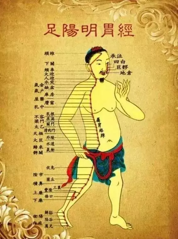讓身體一直年輕的養生3步曲:通胃經、補脾經、摩關元!