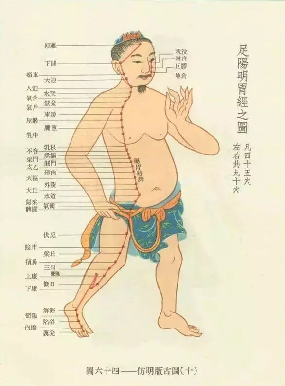 讓身體一直年輕的養生3步曲:通胃經、補脾經、摩關元!